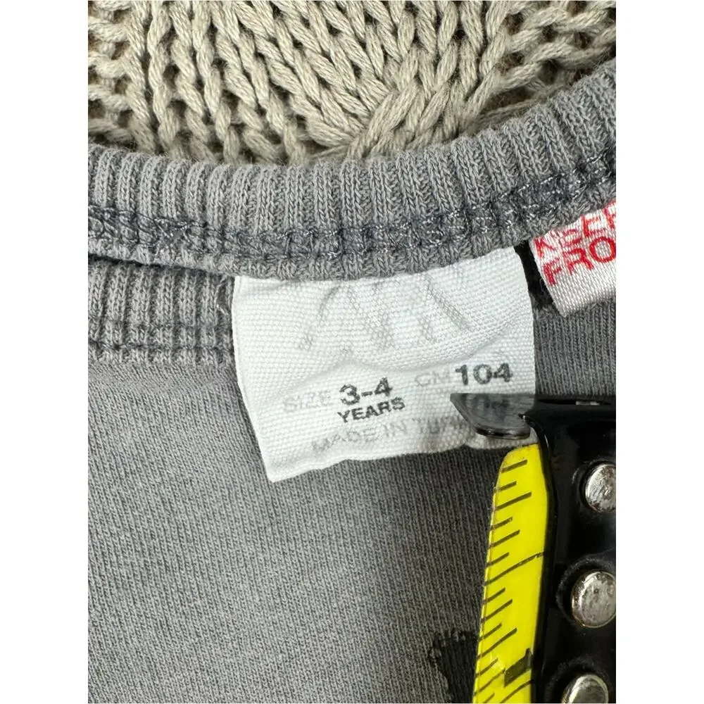 Zara Kids Grey Long-Sleeve Tee with Lion Graphic ~ 3/4